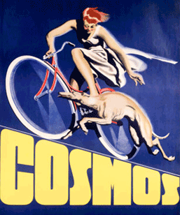 Cosmos Poster